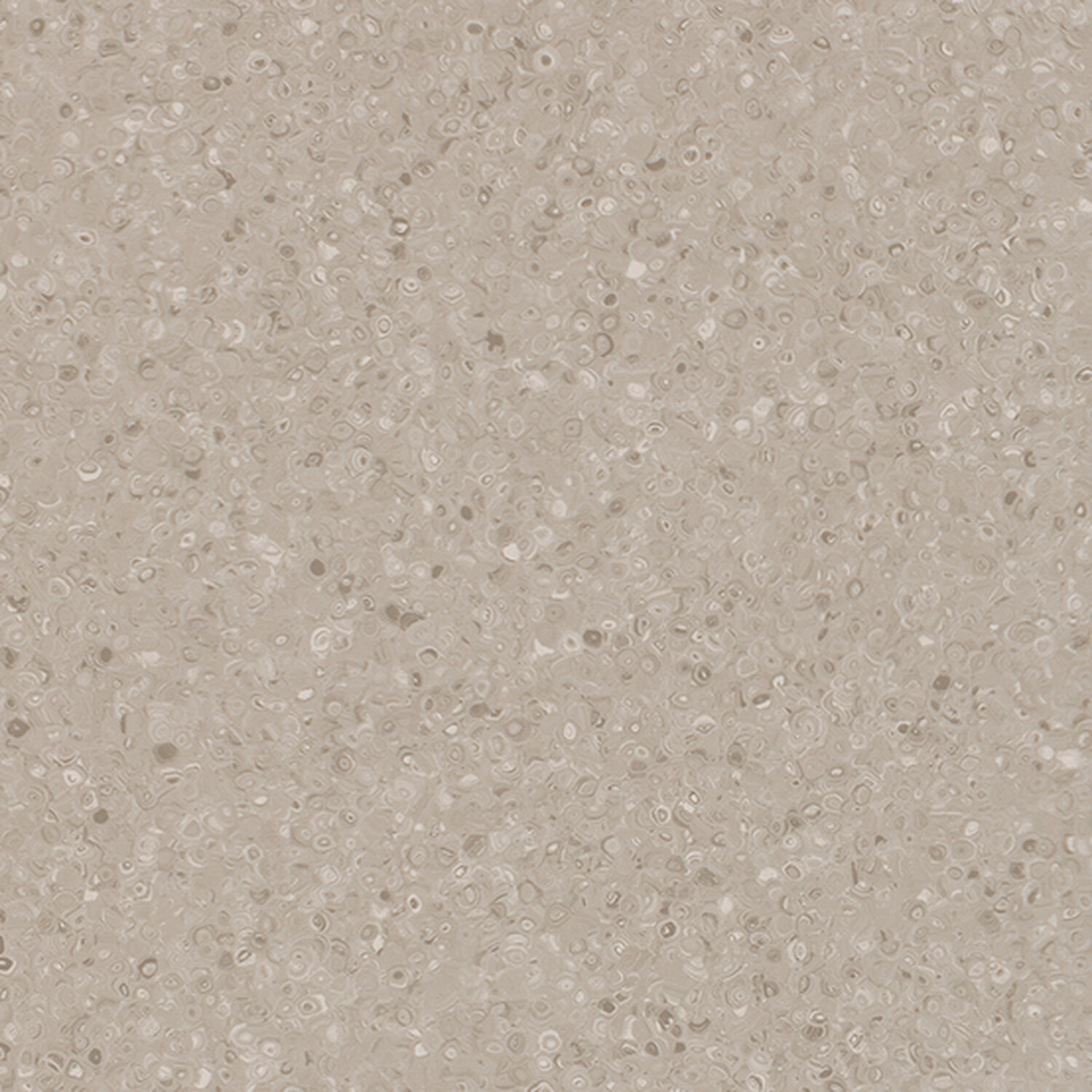 5049 Grey Peanut