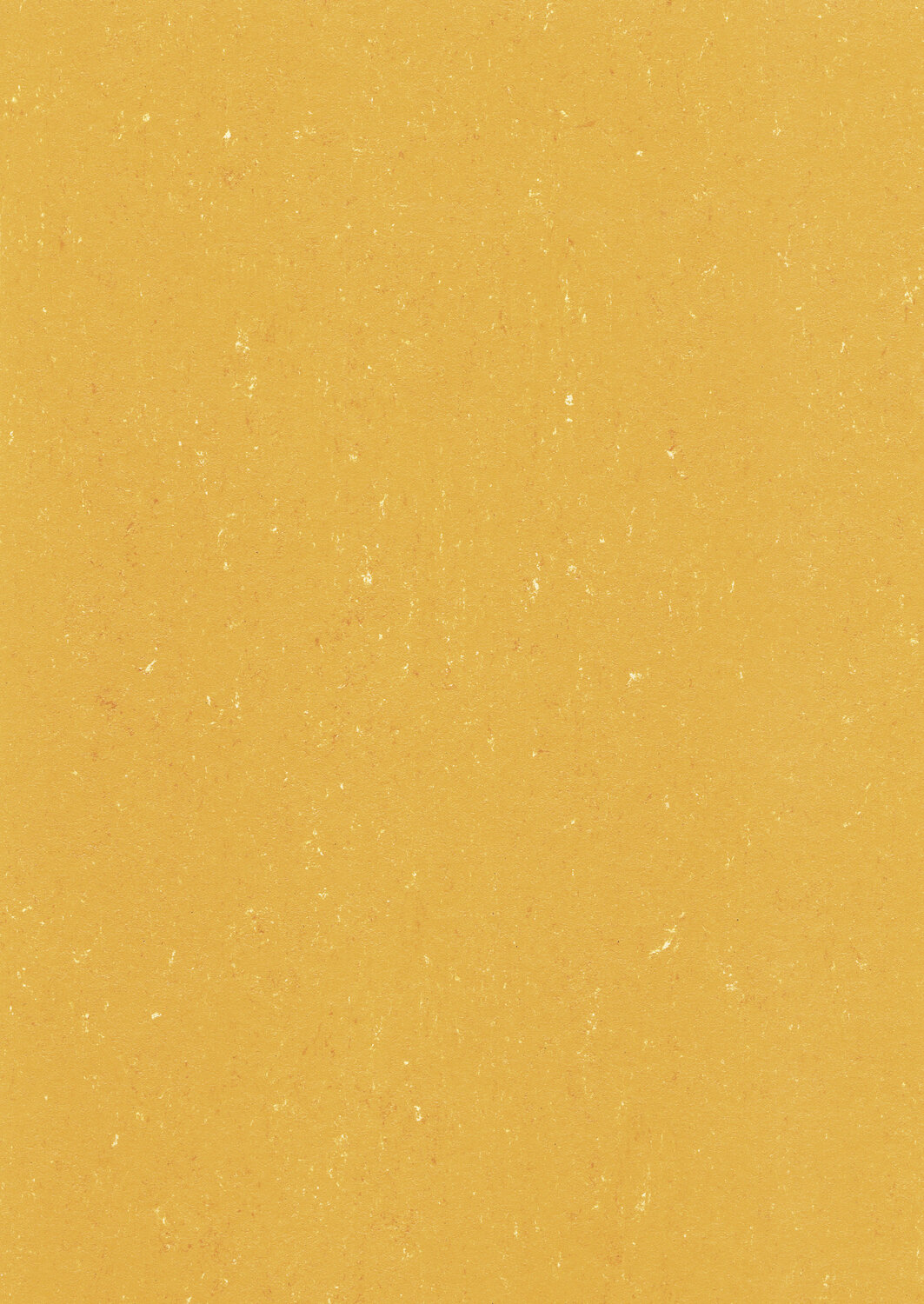 0171 SUNRISE ORANGE