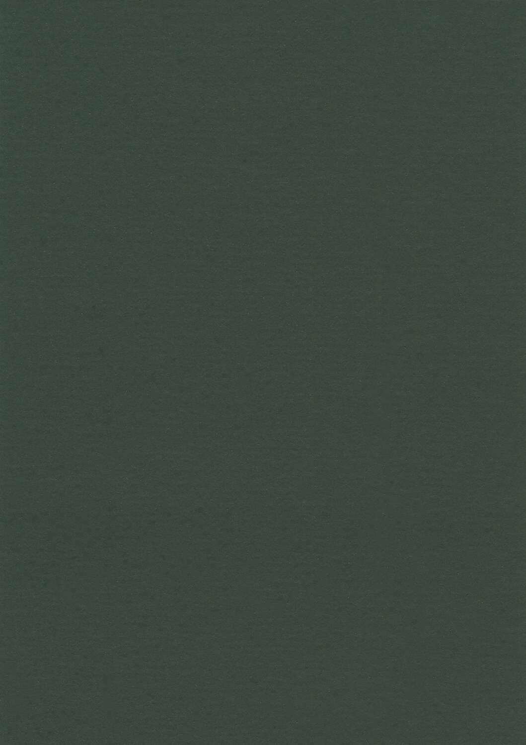0035 RACING GREEN