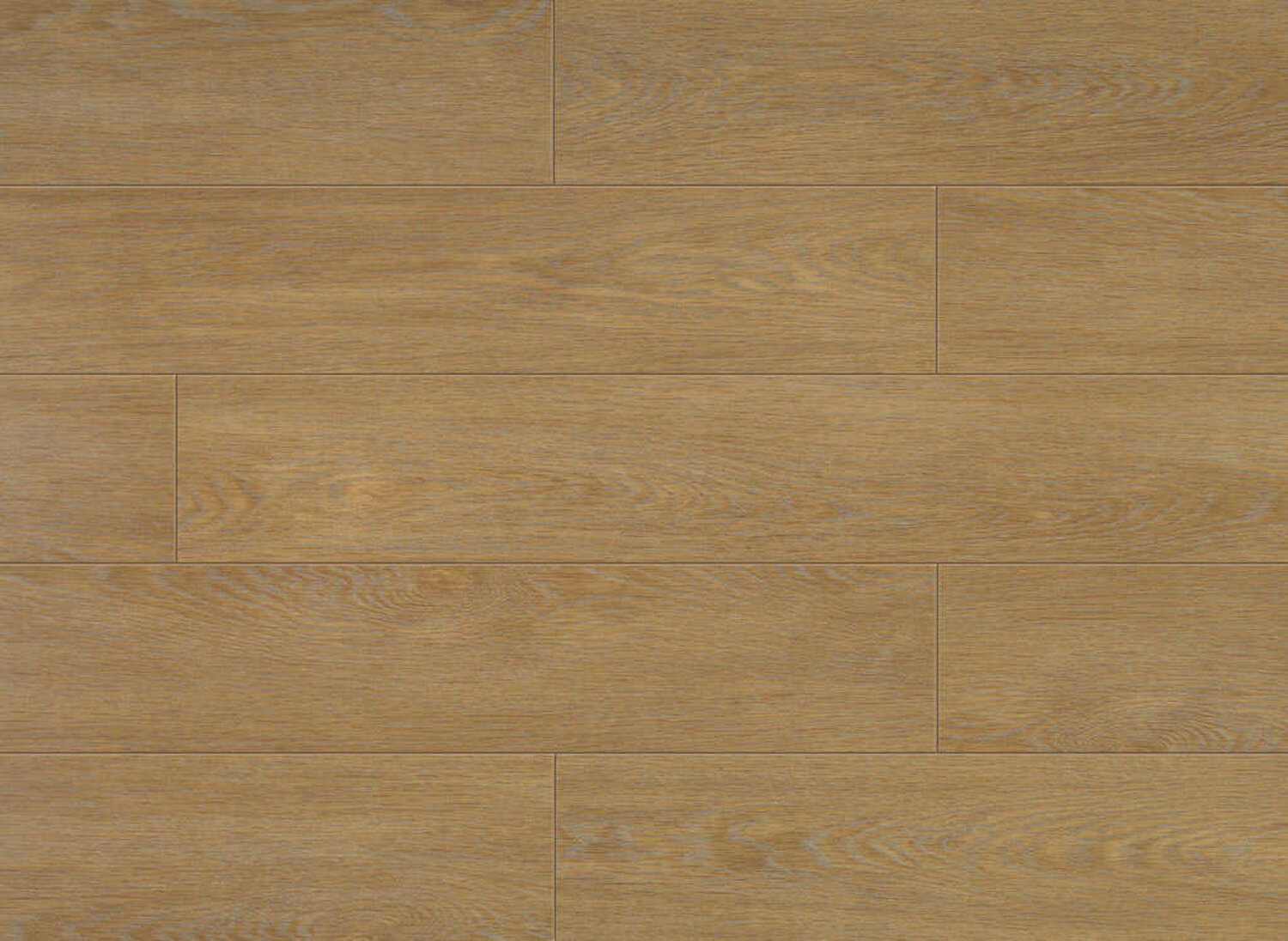 0258 MUIR OAK