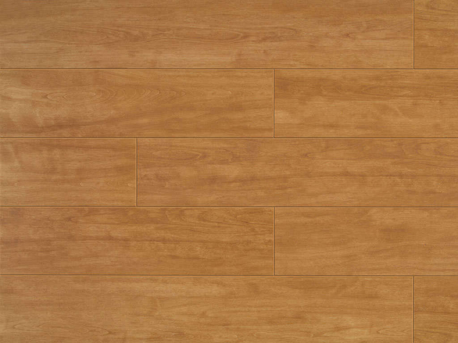 0262 ELM