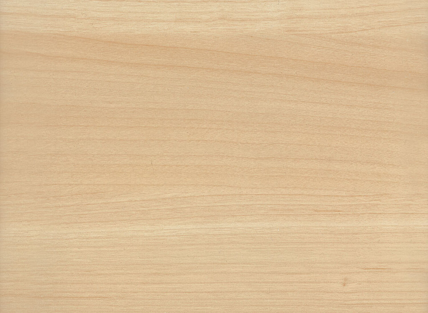  Maple